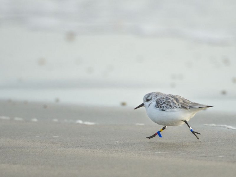 The best of the Sussex coast